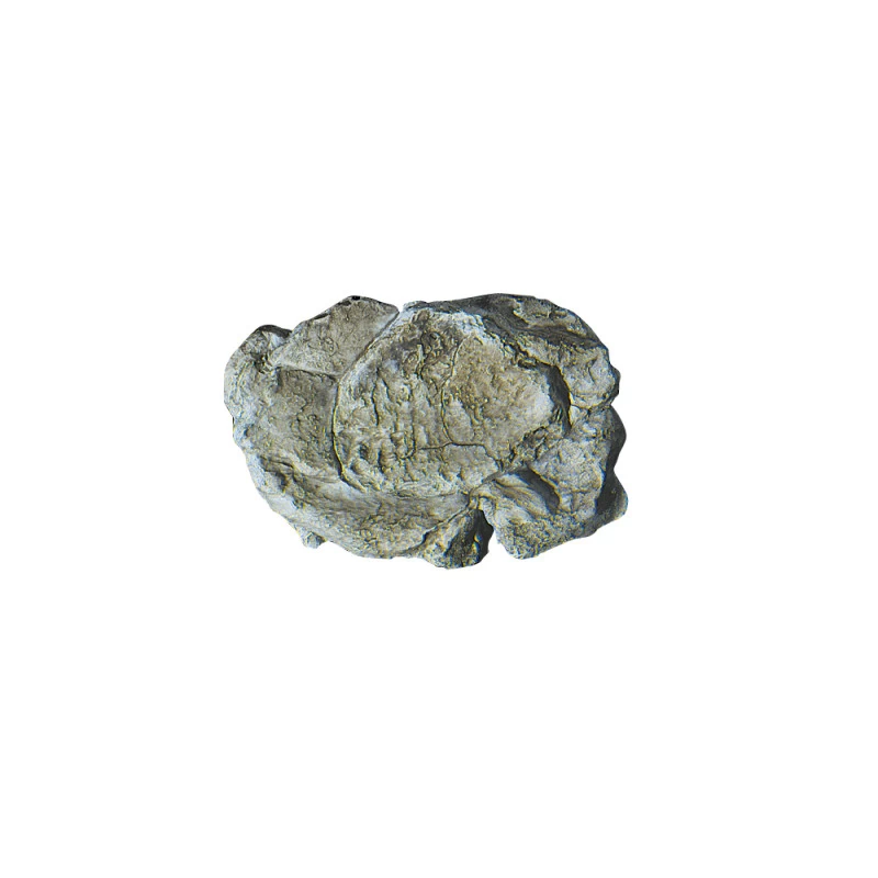 Wind Rock Mold -C1237 3 Wind Rock Mold -C1237